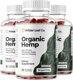 Wilder Leaf Organic Hemp Gummies 3 Bottles